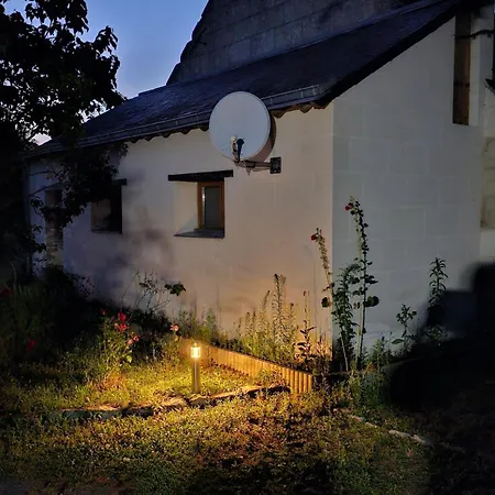 Domaine Des Moizons, Le Figuier * Villebernier