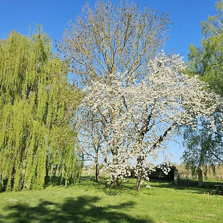 Διαμέρισμα Domaine Des Moizons, Le Figuier