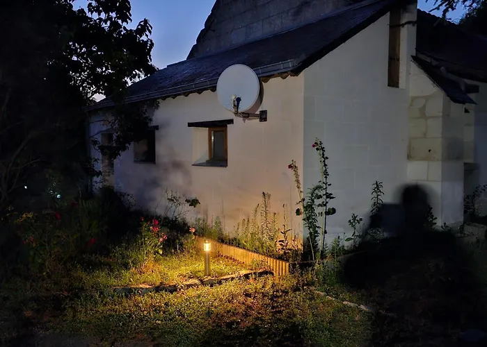 Domaine Des Moizons, Le Figuier * Villebernier