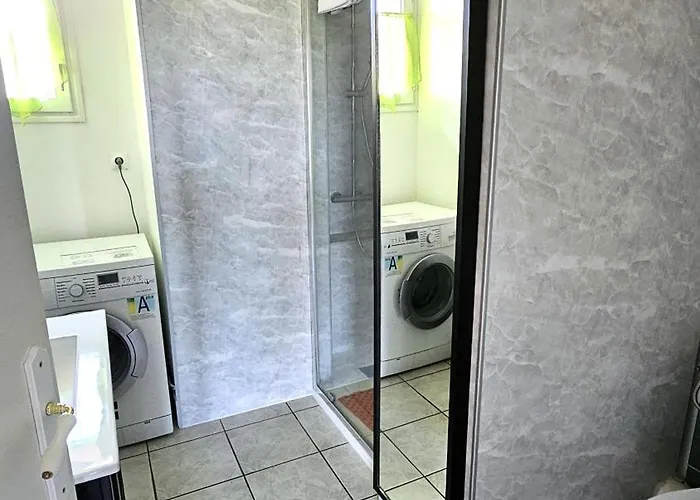 Domaine Des Moizons, Le Figuier *