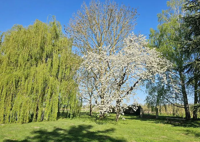 شقة Domaine Des Moizons, Le Figuier